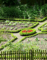 Unser Bauerngarten